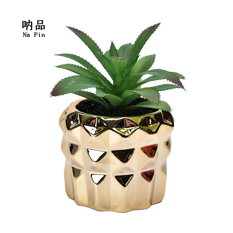 Maceta suculenta de cerámica con baño dorado, estilo fruta