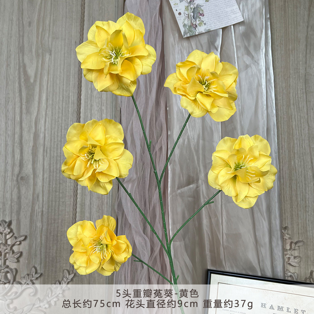 TY-5头重瓣菟葵-黄色