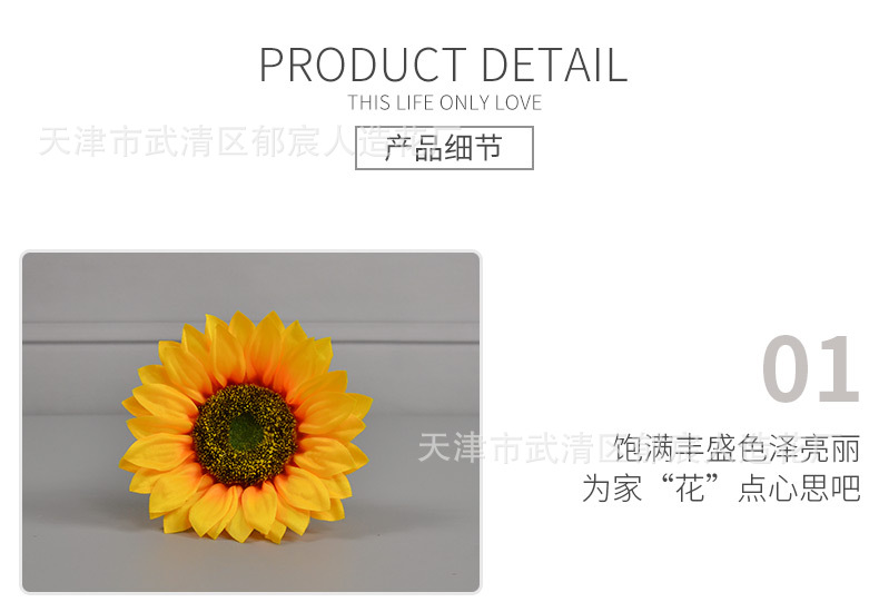向日葵花朵_07.jpg
