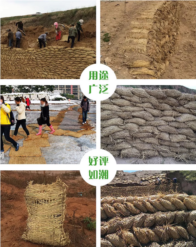 微信图片_20250915121714_110_994