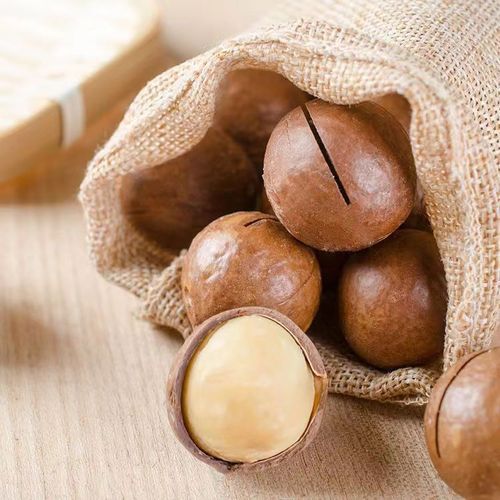 Macadamia nut butter nut New Year goods wholesale dropshipping 500g thin-skinned hand-peeled snack walnut nut macadamia nut