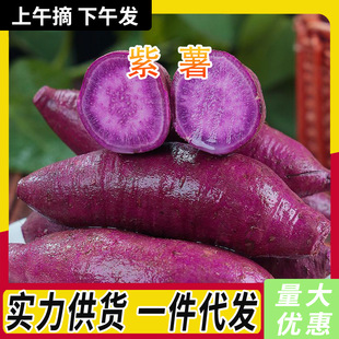 �a��ֱ�lɳ���������l���r���_�m�Ϸ�����Ŵ������ʹּZ�ع�����