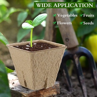 ���ڏ�5-6cm���ɽ��⼈�{�����跽�ηN����ֲ��Nֲ��N�����籭