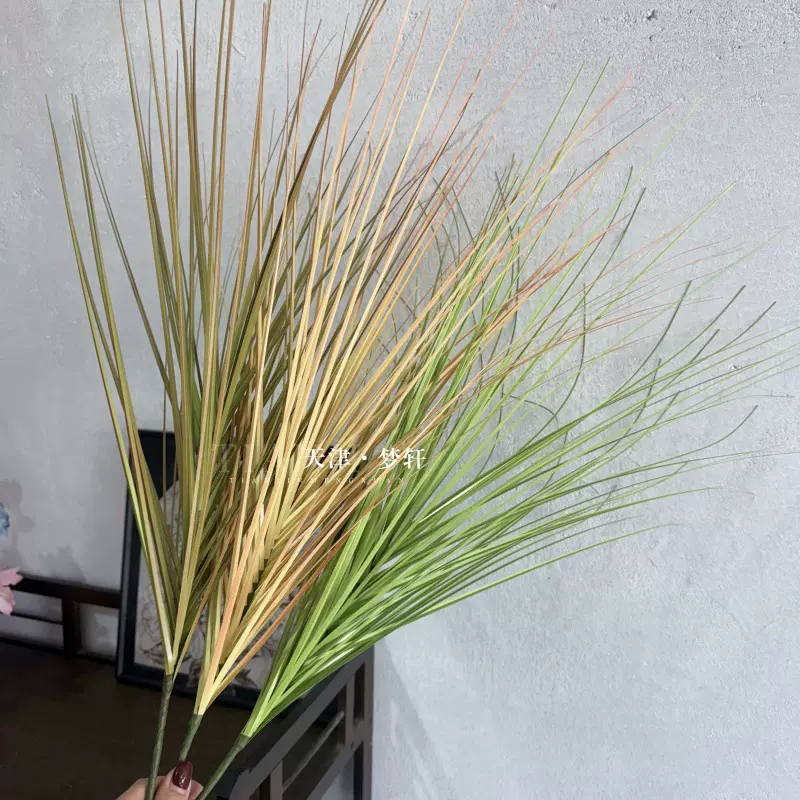 仿真洋葱草干花假花 莫奈花园风造景狗尾草仿真水草摆放家居装饰