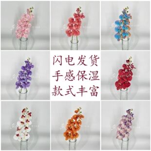 9�^�zƬ�����m���滨�鷿���û�c�廨�͏d�����[���Ҿ��b�