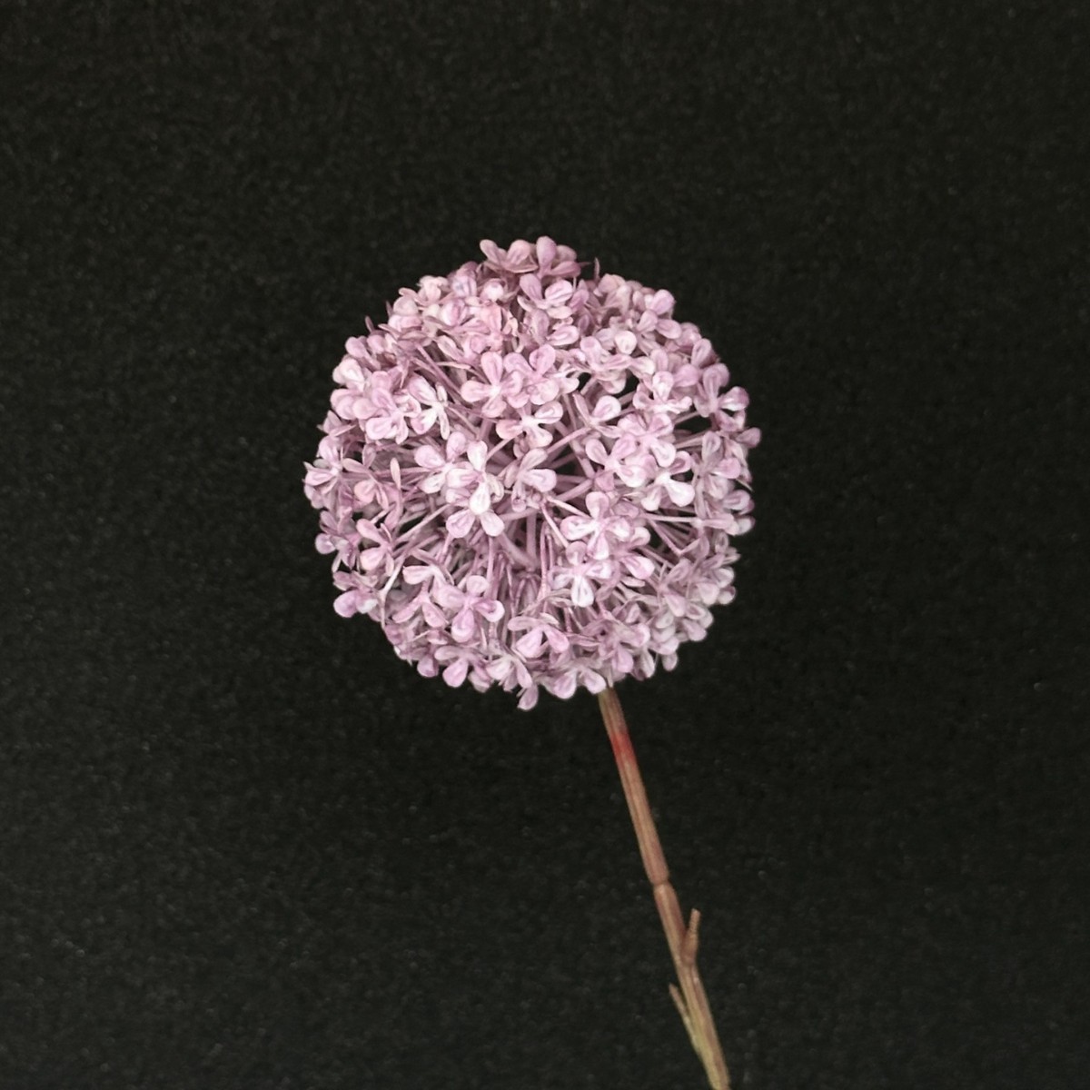 Bola de cebolla simulada de color lila claro