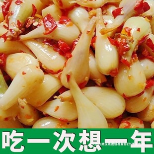 �������w�^�����خa���^�r��ˊ�^�_θ��˼��ֹ��ω���������