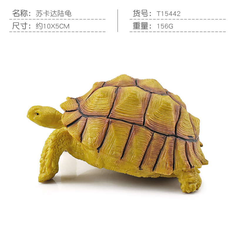 Transfronteriza Nueva simulación anfibio reptil modelo tierra tortuga elefante tortuga estrella tortuga estática decoración cognitiva decoración juguete