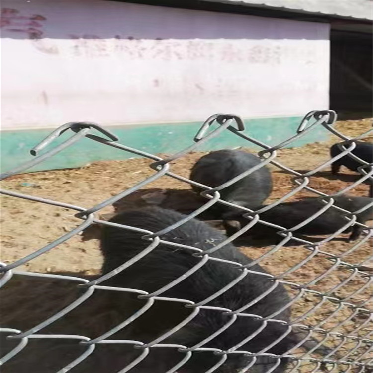 野猪养殖钢丝网热镀锌勾花网圈山养殖围栏网厂家供应热镀锌铁丝网