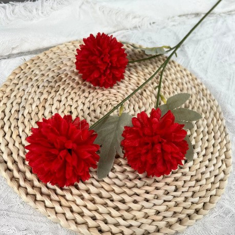 3등구국화-큰 빨간색