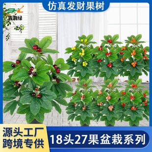 ����ʯ�� ������ĭ�{�������Gֲ���� ܛ�b�ҾӾƵ��b��辰�lؔ��