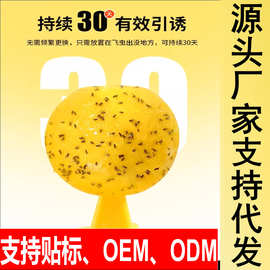 诱蝇球家用粘小飞虫厨房卫生间粘虫亚马逊TEMU速卖通爆款外贸爆品