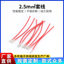 �S��ֱ�����Ӿ�2.5mm&sup2;���L�C�׾��h�����|��ȼ늳��B�Ӿ��B����