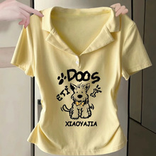 ��Ͱ��������SɫPOLO�I����T��Ů�ļ����������������OӋ������