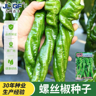 �ݽz���N�Ӹ߮a�����������Ʒ�N�̨�����r�Ҳˈ@���N�߲˷N��