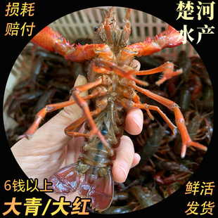 ���rˮ�a������ˮС���r�����r�r�����r���l�����t�r���^����