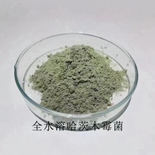 ȫˮ�ܹ���ľù��΢�����������������ֲ���������翹�ز�