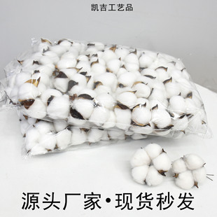 �ɻ��޻��^��Ȼ�ɻ������ɫ���^�޻����F�z�޻���W�t�޻�������