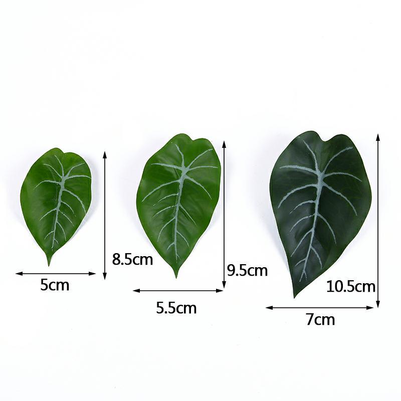 IMG_8627_好压看图