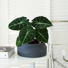 ���W�L�҃ȼҾӾƵ��̨�k���Һ��sС�����n�����s�A��ˮ�໨��