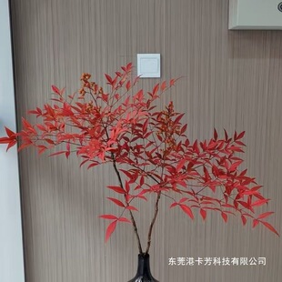 ������ˮ��ֲ���҃��r��֦ˮ�B����t�͏d���Ի��ܾGֲƽ���R��ľ