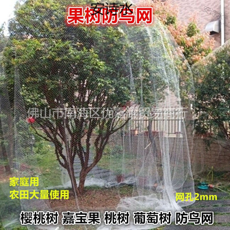 果树专用 防鸟网 防护罩樱桃树葡萄蔬菜尼龙网网罩果子防鸟网子