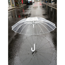 升级款骨透明伞弯勾自动长柄伞抗风加固白色纤维骨架耐用雨彭泉