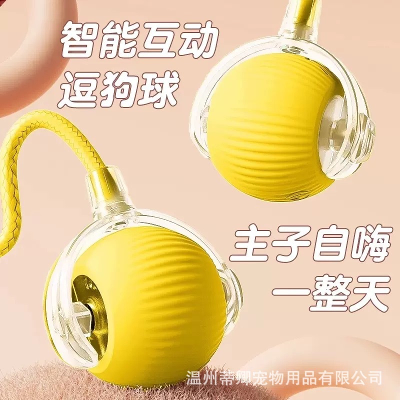 跨境新款宠物玩具猫玩具逗猫球猫狗自嗨球玩具球解闷神器宠物用品|undefined