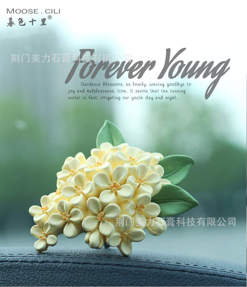 桂花宝贝详情_04.jpg