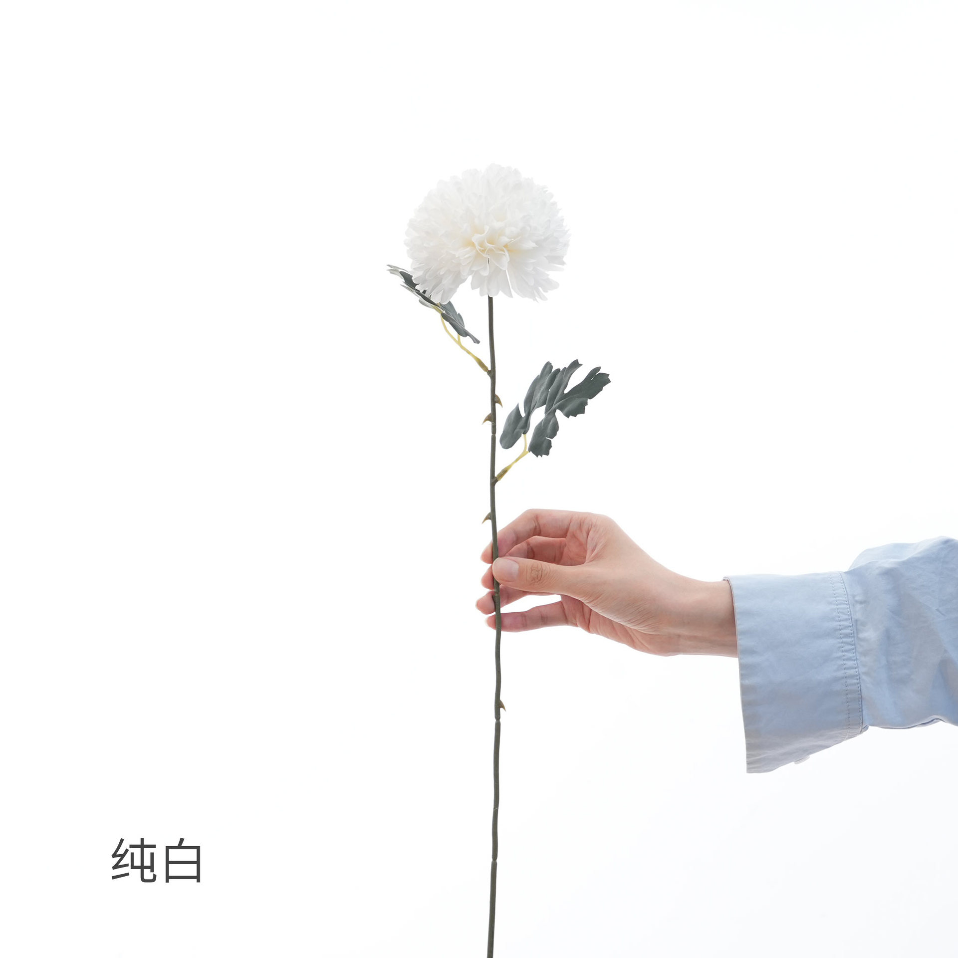 퓨어 화이트(ZR)