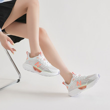 xNEW BOLUNE/°قЬ567\Ь¿ļ͸̤