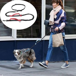 Cross-Border Belt Traction Rope Waist Dog Walking Rope Multi-Functional Running Traction Rope Pet Traction Rope Elastic Rope Pet