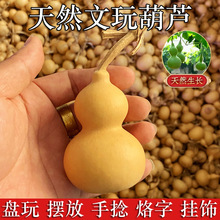 ��Ʒ�P��С���J��Ȼ�NֲС���J��������������Ȼ���J���l���J�羳