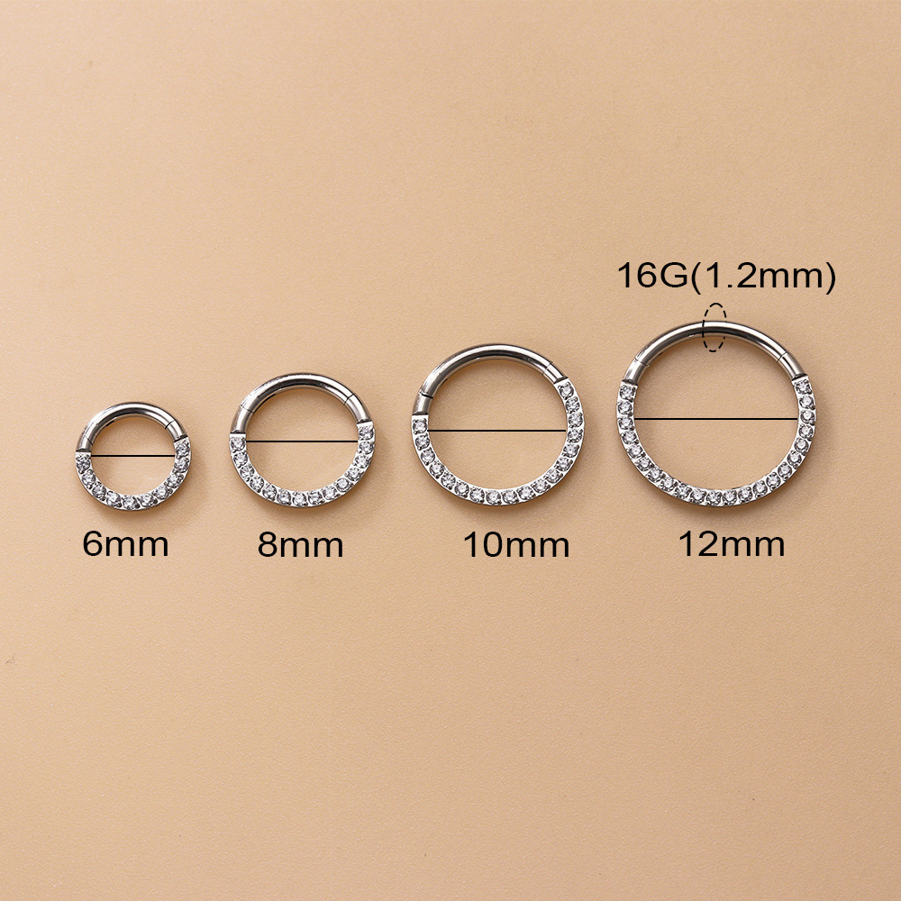 1 Piece Nose Rings & Studs Fashion Round Pure Titanium Inlay Zircon Nose Pin display picture 1