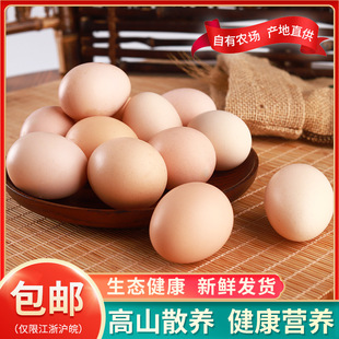 һ�rС����ɽ�u�� �r��ɢ�B���u�� �F��F�l�I�B���u��