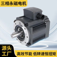 高速永磁同步电机高效变频调速电动机厂家交流电机三相永磁电机