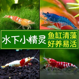 �^�p�r��ˮ�r�����r�坍�r�~�׹����rˮ��С�r������B�ښ��ѻ�