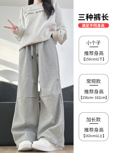 Women's Spring/Autumn 2025 New Style Straight Leg Loose Sweatpants Casual Skorty Wide Leg Work Pants in American Gray