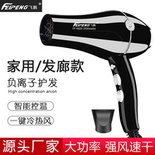 飞鹏6600专业发廊大功率家用冷热静音负离子理发店专用吹风筒跨境