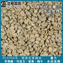 25产季哥伦比亚蕙兰咖啡生豆高海拔水洗处理果酸柔和手冲意式原料