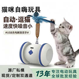 新款led发光轮子猫玩具 USB充电羽毛电动逗猫球智能互动宠物玩具
