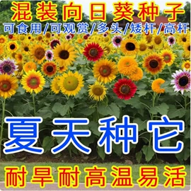 盆栽;种子;园林果树