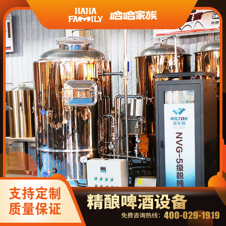 大型精酿啤酒厂酿造设备 精酿家用制作机械 散装啤酒生产设备