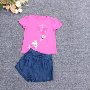 ���Qԭ�� �ļ����޶������b������ɫ�������T�������Y��ѝ�ɼ���