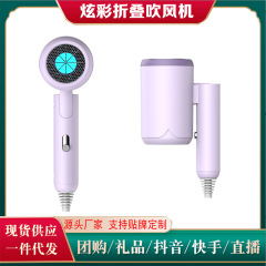 国境を越えた新型高速ホテルのヘアドライヤー家庭用マイナスイオンは学生寮の折り畳み式電気ブローを傷つけない
