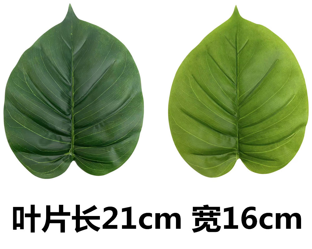 未命名_副本51