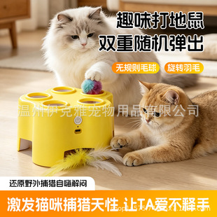 ؈���������늄����˽␞��؈����؈��ҧ��ë�����w�������