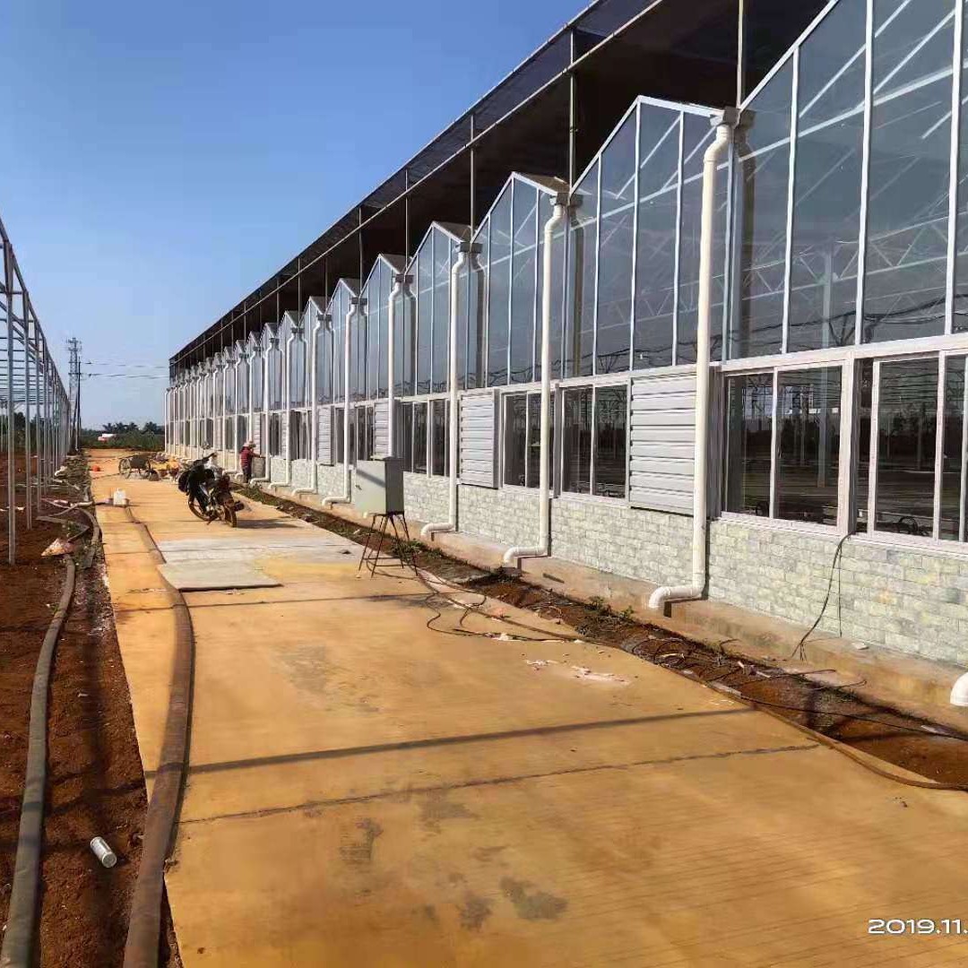 Fábrica directa de invernadero PC tienda de campaña de cultivo de peces sistema de plantación de verduras orgánicas sombra solar