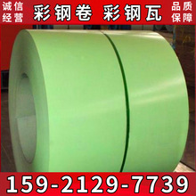 �����X�\�ʉT���  PE������䓾� �y�� ���{����S���ò����