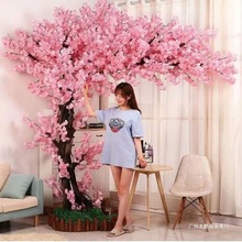 �����һ����҃����b��̈���������S���ܷ���t�һ����Ř�